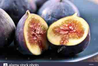 Than the fig is useful to health