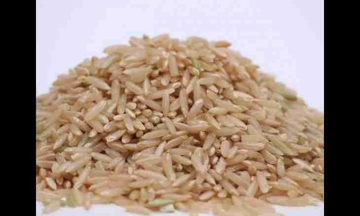 What grade of rice the most useful