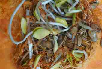 As there are sprouted pumpkin seeds