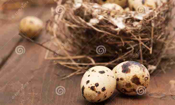 In what advantage of quail eggs