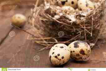 In what advantage of quail eggs