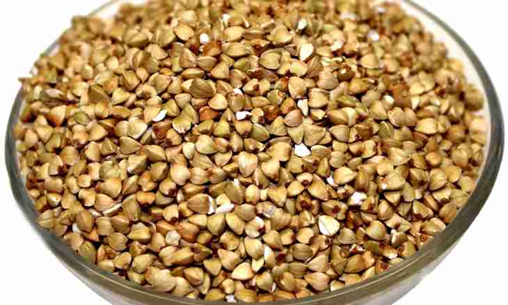 About advantage of buckwheat
