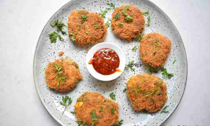 Gentle chicken cutlets with oat flakes