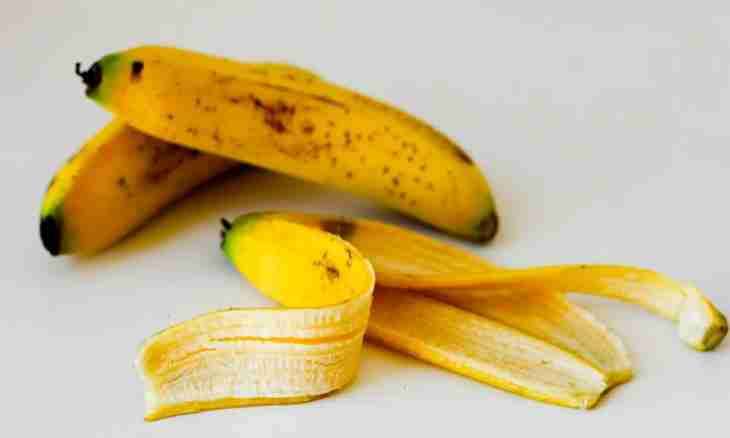Why it is necessary to eat bananas together with a peel