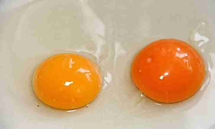 That in egg it is more useful: protein or yolk