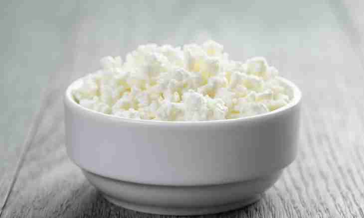 Useful properties of cottage cheese. As it is correct to choose cottage cheese