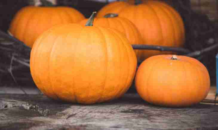 How to use pumpkin for weight loss