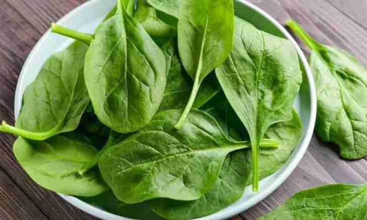 Spinach: advantage and harm for health