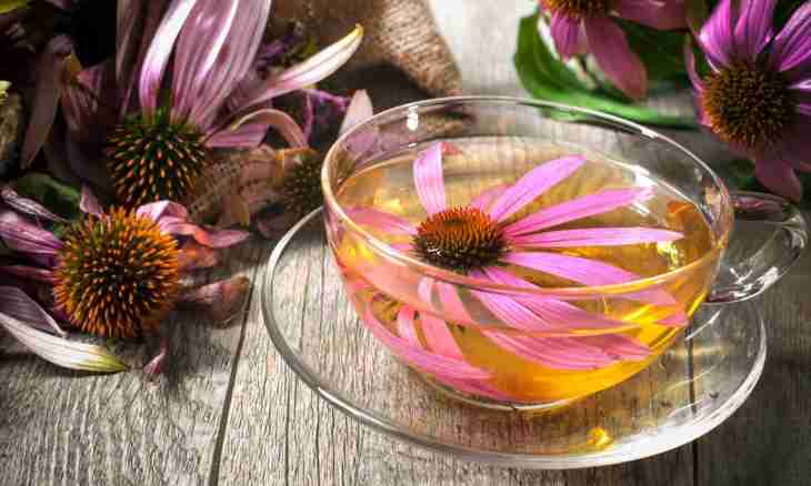 Herbal teas for beauty and symmetry