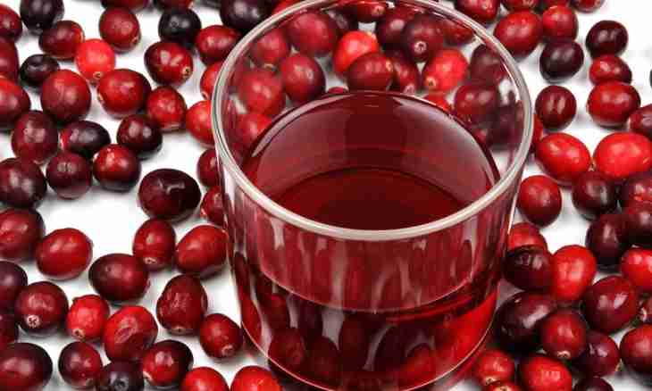 Cranberry: useful properties and contraindications