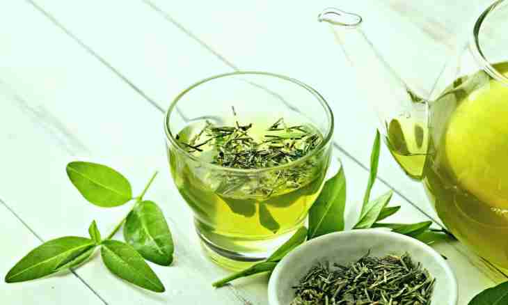 8 herbal teas with the increased content of antioxidants
