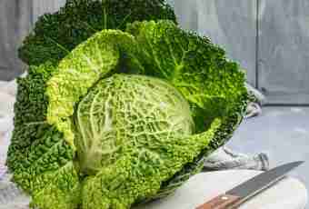 How to keep useful properties of cabbage