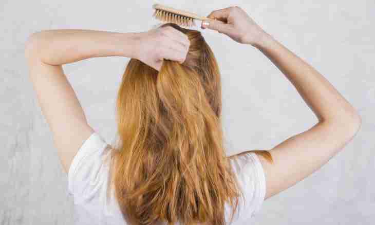 Top-5 products useful to hair
