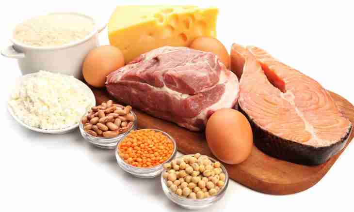 What products contain protein