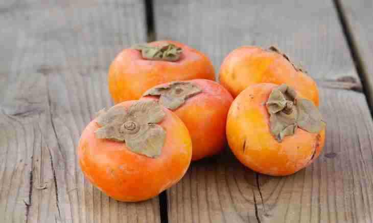 Than persimmon is useful to women