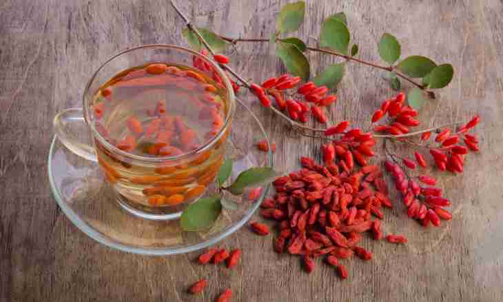 How to make drink from goji berries for weight loss