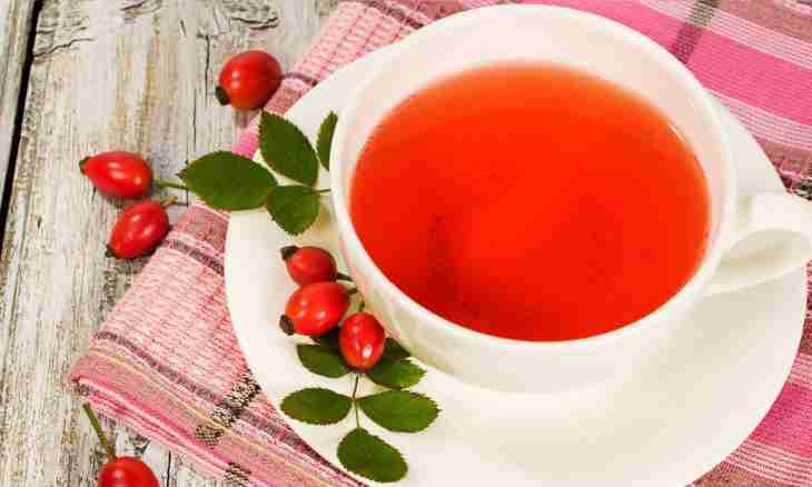 Tea with a dogrose: useful properties and recipe