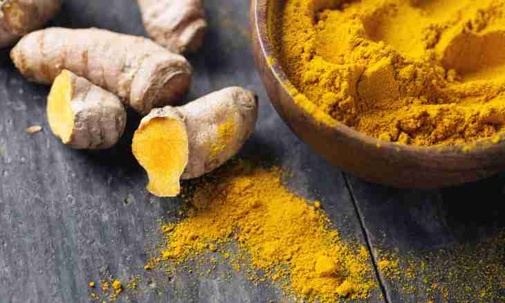 What useful properties at a turmeric for a human body