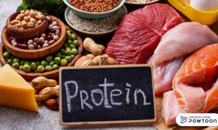 In what products most of all proteins and carbohydrates