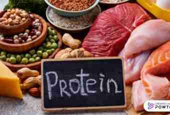 In what products most of all proteins and carbohydrates