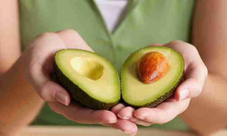 Avocado – tasty many illnesses medicine