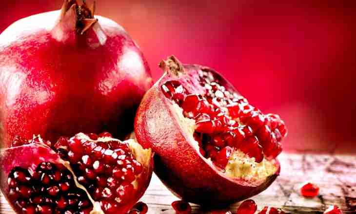 In what advantage of pomegranate for an organism