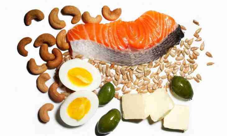 What products contain useful fats