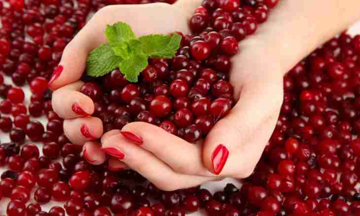 Than the cranberry is useful to women