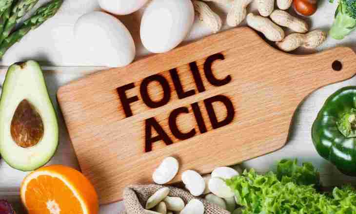 What products contain folic acid
