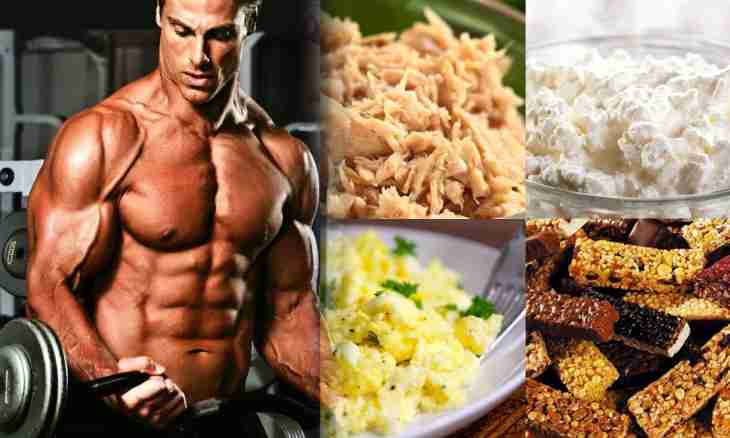 Food for body builders