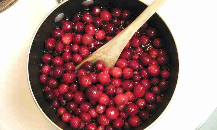 Than the cranberry is useful