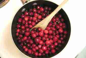 Than the cranberry is useful