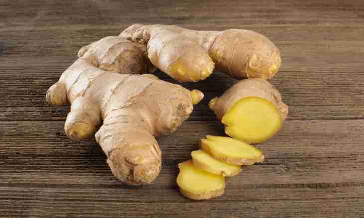 East ginger - a health well