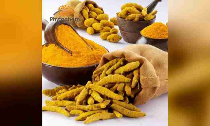 Advantage of a turmeric for an organism