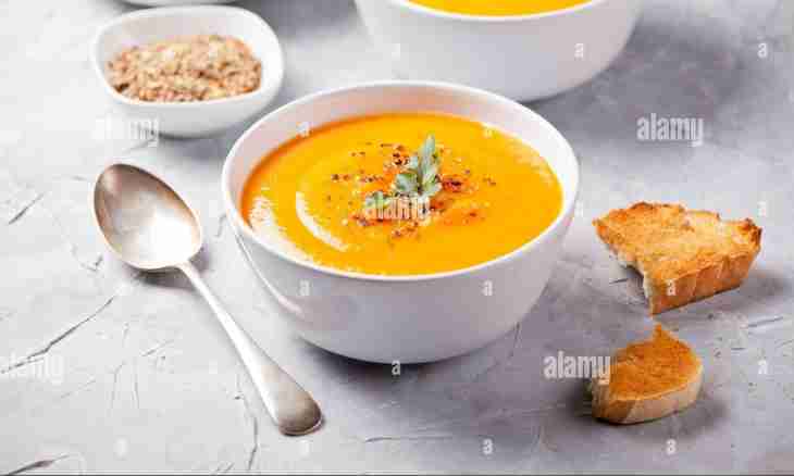 Home-made soups: advantage or harm?