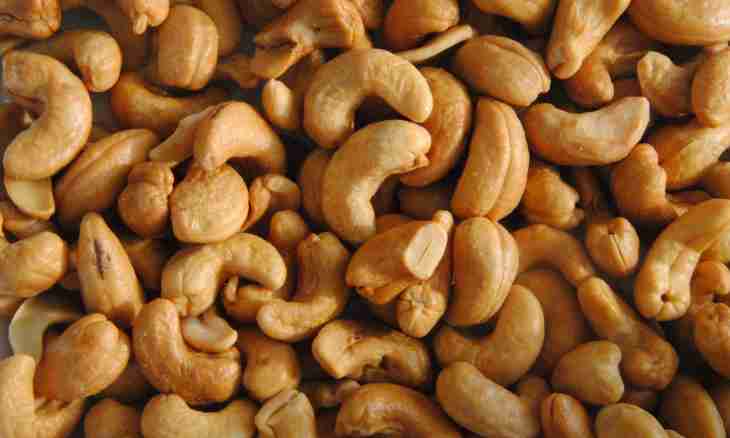 Cashew nutlets