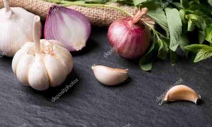 With what treatment of diseases the onions will help