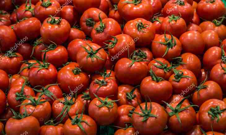 Advantage and harm of consumption of tomatoes