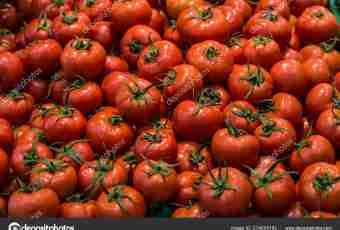 Advantage and harm of consumption of tomatoes