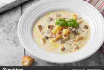 Mushroom soup from champignons with potatoes