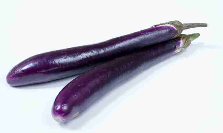 Advantage and harm of an eggplant