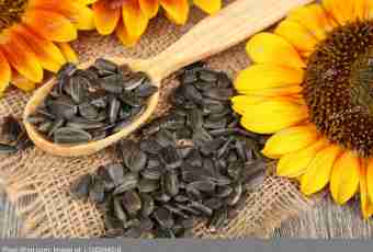 Than pumpkin sunflower seeds are useful