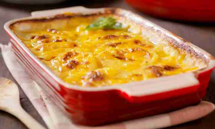 How to make casserole from cottage cheese in an oven