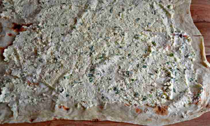 12 options of a useful stuffing for a lavash