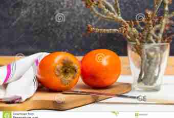 On a threshold winter – on a table persimmon