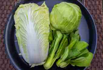 Than different types of cabbage are useful