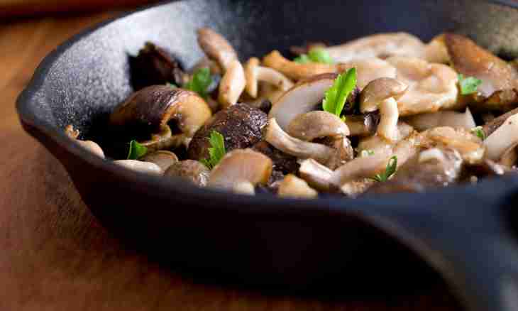 How to prepare a julienne from a hake with mushrooms