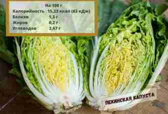 Beijing cabbage and its useful properties