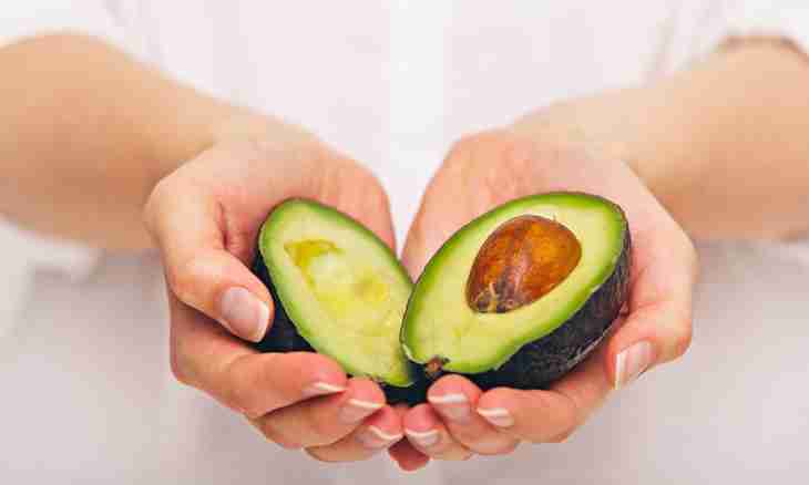 How to lose weight with avocado