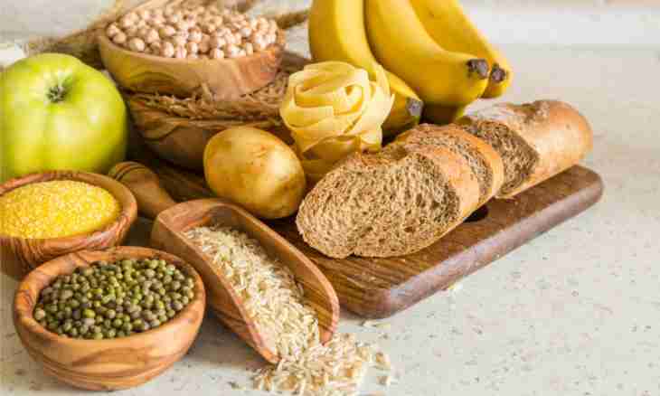 What is digestible carbohydrates